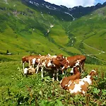 Farma Stubnerbauer