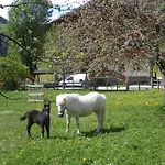 Stubnerbauer Farma Bad Hofgastein