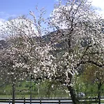 Farma Stubnerbauer *