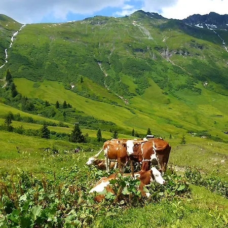 Stubnerbauer * Bad Hofgastein