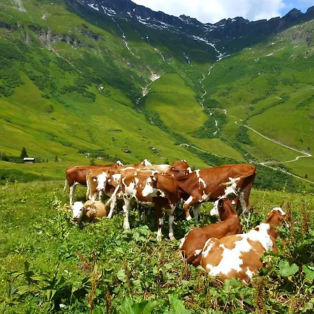Bauernhof Stubnerbauer
