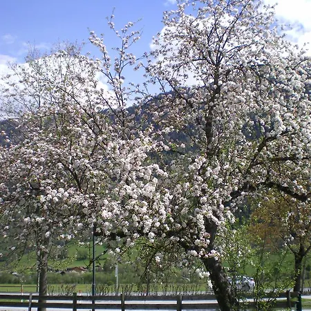 Lantgård Stubnerbauer *