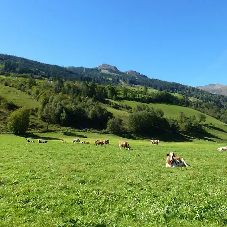 Farma Stubnerbauer *