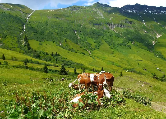 Stubnerbauer * Bad Hofgastein