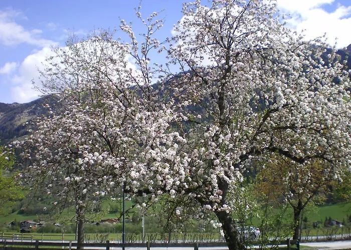 Farma Stubnerbauer *