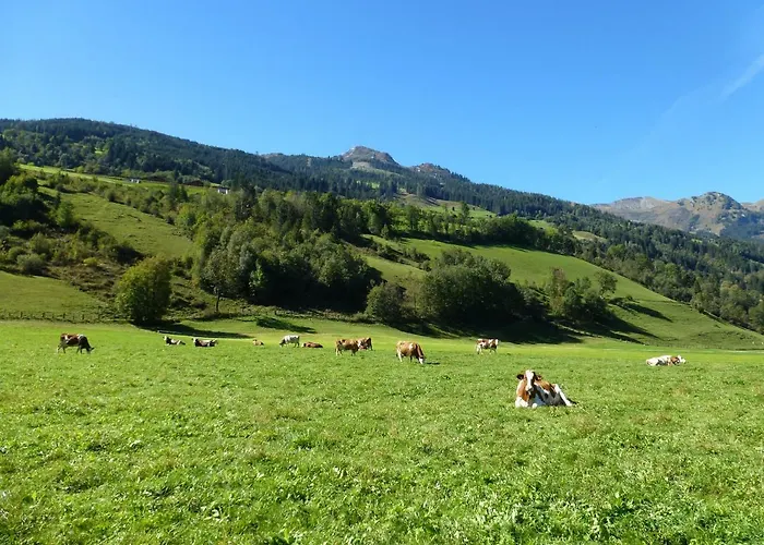 Agroturismo Stubnerbauer *